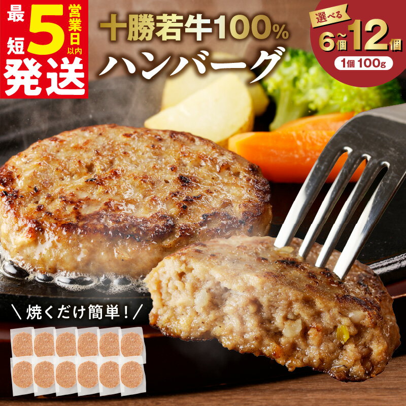 【ふるさと納税】 ＼ 5営業日以内発送 ／ 【 選べる発送月と内容量 】 北海道 十勝若牛 ハンバーグ 発送月が選べる 牛肉 肉 国産 赤身肉 ブランド牛 贈り物 お中元 夏ギフト のし 熨斗 清水町 送料無料