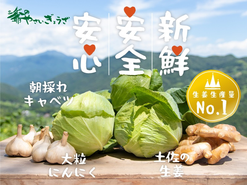 【餃子づくりは畑から。私たちは野菜農家です】私たちは、安心・安全で、自分たちが本当に美味しいと思える野菜をつくっています。