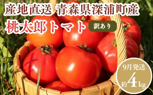 【9月発送】訳あり 青森県産 桃太郎 トマト 約4kg