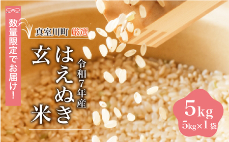＜数量限定＞ 令和7年産 はえぬき 【玄米】 5kg （5kg×1袋） 山形県真室川町　◆NR7H05M-G9999