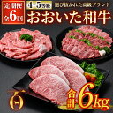 【ふるさと納税】＜定期便・全6回 (隔月)＞おおいた和牛 定期便 (総量6kg) しゃぶしゃぶ ステーキ 焼肉 すき焼き モモ サーロイン ソース付き ばら ロース ヒレ 小分け 国産 4等級 和牛 牛肉 大分県 佐伯市【DP70】【(株)まるひで】