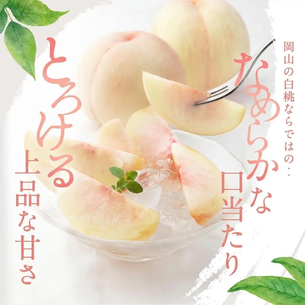 桃 2026年 先行予約 白桃 5玉 合計約1.3kg  岡山県産 桃