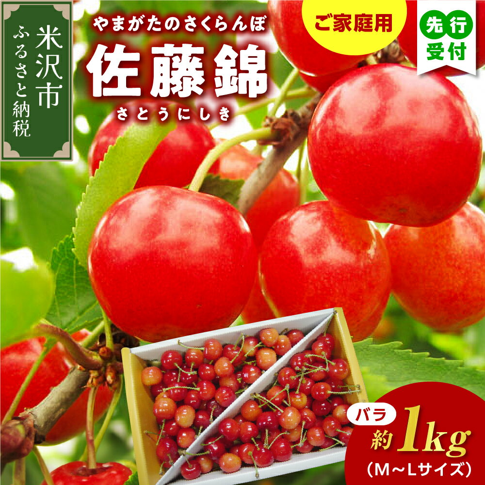 【ふるさと納税】【先行予約】【数量限定】 令和8年産 家庭用 訳あり さくらんぼ 佐藤錦 バラ詰め 1kg 2026年6月中旬～下旬頃お届け予定
