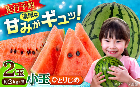 【先行予約】【数量限定】小玉 すいか 2玉 ひとりじめ 計4kg 【合同会社 福福堂】[AYAC046]
