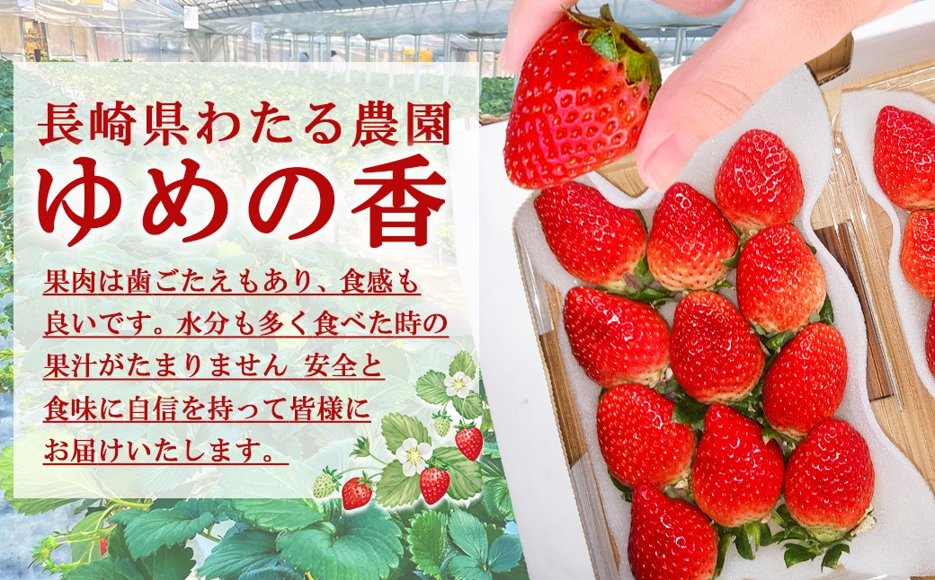 クリスマスケーキ用 いちごゆめの香計約500g 中玉 20～23粒入り