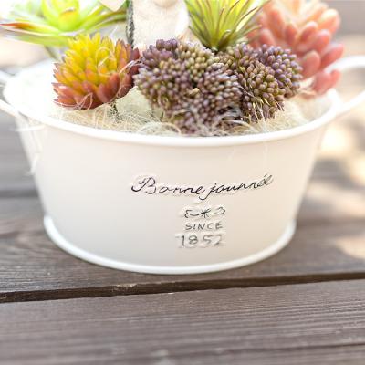 ふるさと納税 山梨市 いたずらハリネズミと多肉植物のアーティフィシャルグリーン |  | 03