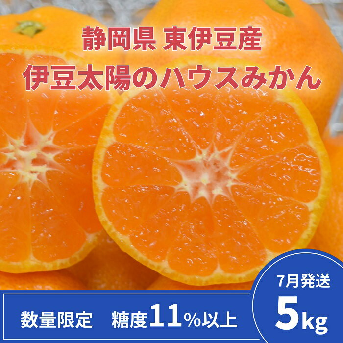 【ふるさと納税】糖度11％以上　JAふじ伊豆　伊豆太陽のハウスみかん　5kg　静岡県産 1312 ／JAふじ伊豆 ハウスみかん みかん 静岡県 東伊豆町