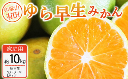 【ご家庭用 極早生】和歌山有田ゆら早生みかん約10kg(SS、S、M、Lサイズ)【美浜町】｜早生みかん フルーツ 果物 みかん ※北海道・沖縄・離島への配送不可 ※2025年10月下旬～11月下旬頃に順次発送予定