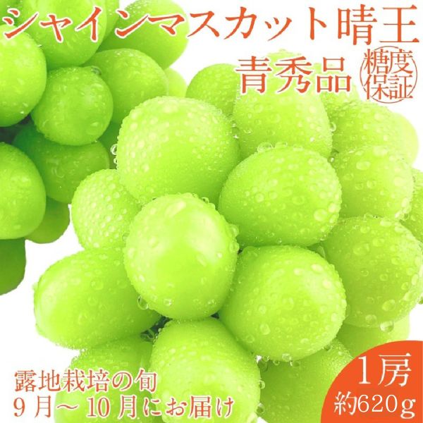 【ふるさと納税】【2025年 予約受付中】 シャインマスカット 晴王 1房約620g 9月〜10月出荷/ 岡山県産 種無し 皮ごと食べる みずみずしい フレッシュ 晴れの国 おかやま　 果物大国 彩美菜果 岡山県 瀬戸内市 お届け：2026年9月〜2026年10月下旬
