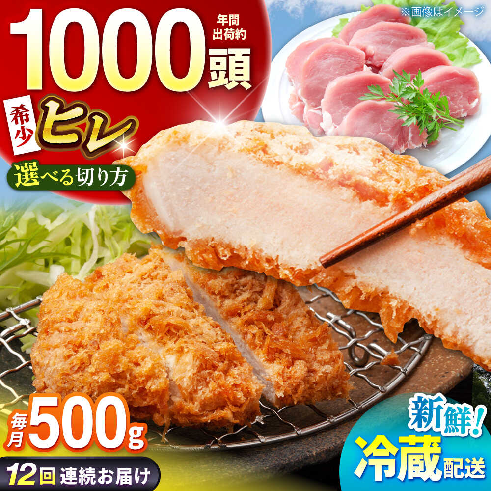 【ふるさと納税】【全12回定期便】【選べる切り方】ええやんさくらポーク 小林ファーム 豚肉 ヒレ 500g / 国産 ヒレ肉 赤身 とんかつ ソテー あっさり 高たんぱく お肉 冷蔵 ポークソテー 豚ヒレ 国産豚肉 新鮮 / 亀山市 / 小林ファーム [AMAB031]