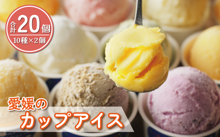 愛媛 カップ アイス 20個 アイス