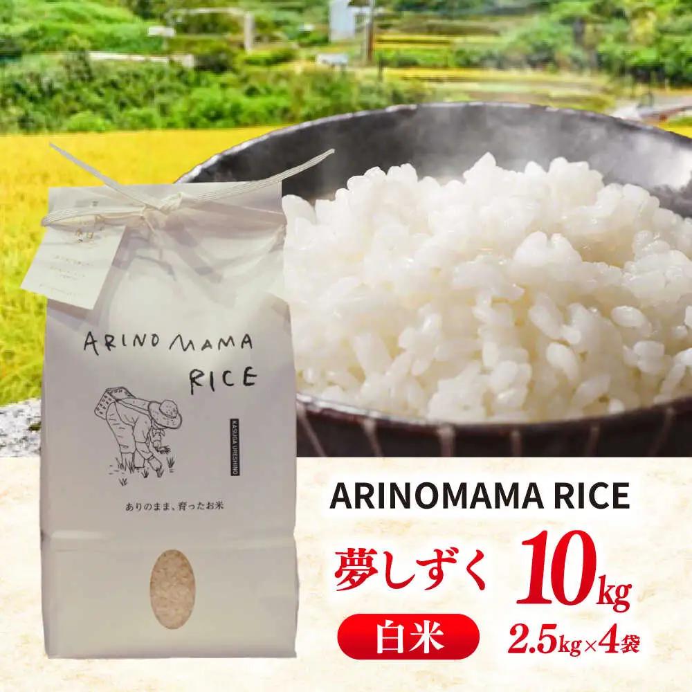 白米 夢しずく 10kg NCK004 白米