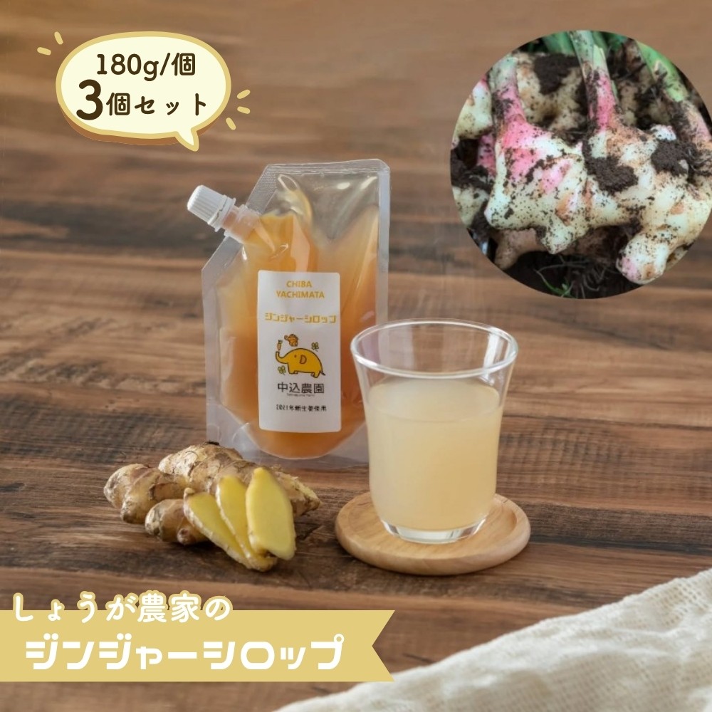 
            しょうが農家のジンジャーシロップ３個セット 生姜 しょうが ジンジャー 生姜シロップ しょうがシロップ ジンジャーシロップ 八街しょうが 八街産しょうが 国産ジンジャーシロップ
          