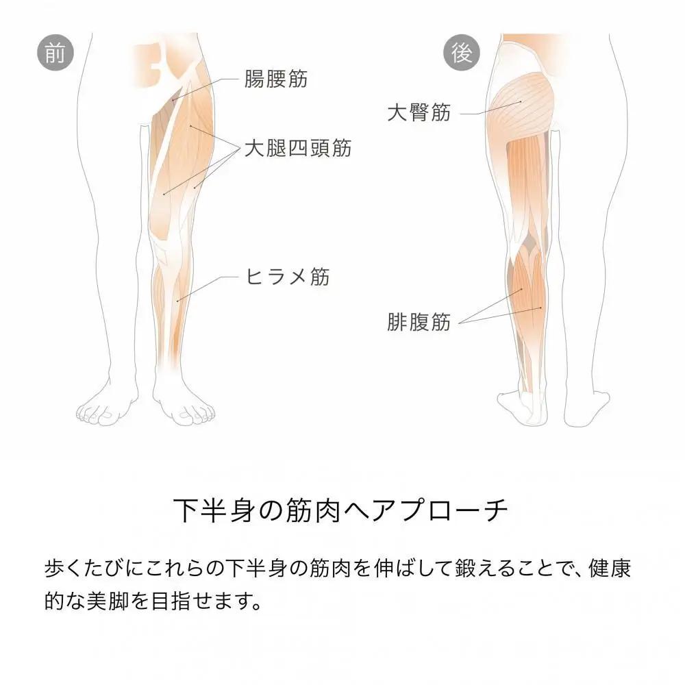 &MEDICAL KAMOLEG 2.0 【ブラック／Sサイズ】