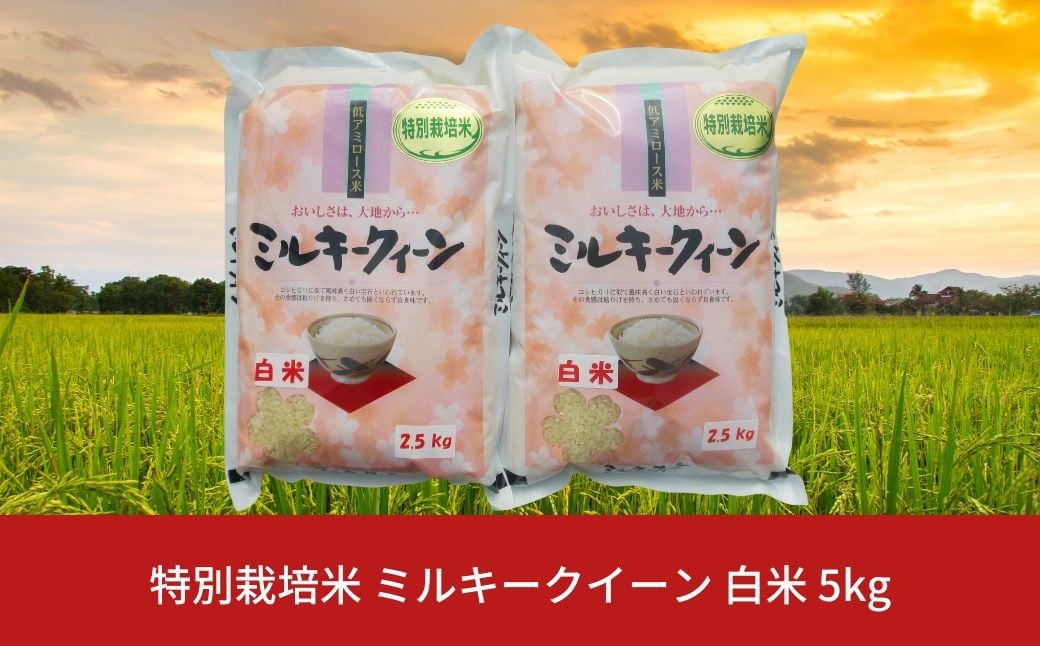 
            特別栽培米 ミルキークイーン 白米 5kg 新潟県産 令和7年産 [佐藤農産有機センター]【010S224】
          