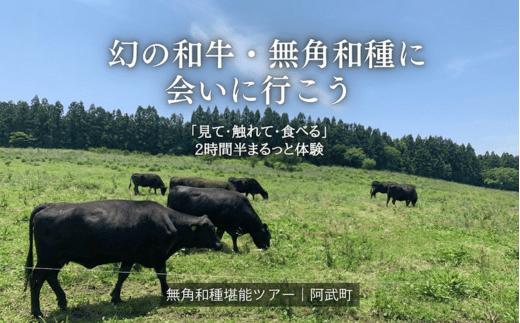 幻の和牛、無角和種に会いにいこう!！「見て・触れて・食べる」を2時間半でまるっと体験！【無角和種堪能ツアー】※体験チケット2名様分