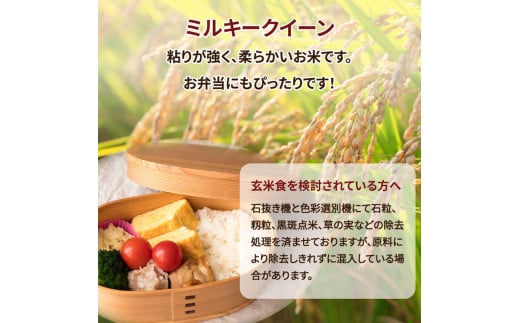 令和4年産 茨城県産 ミルキークイーン玄米2kg｜このお米は石抜き機、色彩選別機の処理済みです ※離島への配送不可