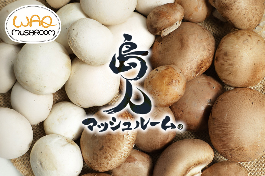 島人マッシュルームセット（ジャンボ×1・ホワイト・ブラウン各100gセット）