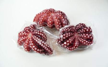 北三陸産 蒸し真タコ丸ごと約1ｋｇ（約2匹～5匹）タコ刺身 たこ焼き たこ タコ