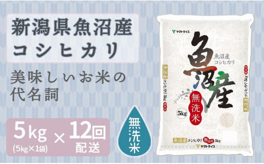 
                  【定期便全12回】無洗米新潟県魚沼産コシヒカリ5kg（受注の翌月から毎月配送）｜新潟県　新潟　魚沼　無洗米　こしひかり　米　おこめ　お米
                