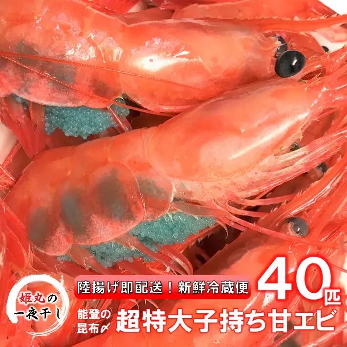 【 2026年9月~10月発送 】 子持ち甘エビ40匹丸ごと昆布〆 甘エビ