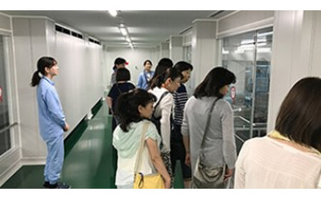 キューピーマヨネーズ 350g x 6本