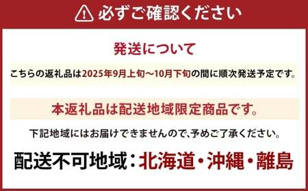 2025年 先行予約受付中 シャインマスカット晴王 1房 約750g 岡山県産 種無し 皮ごと食べる みずみずしい 甘い フレッシュ 瀬戸内 晴れの国 おかやま 果物大国 ハレノフルーツ
