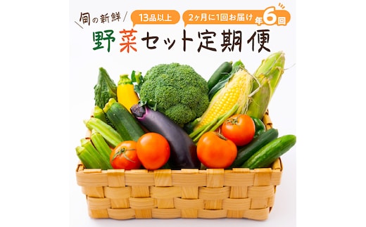 
										
										【8005-1】定期便 旬の新鮮野菜セットB【年6回】たっぷり13品以上
									