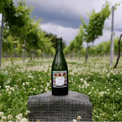 ふるさと納税 喜多方市 WINERY JUN【喜多方シードル2024】750ml×1本