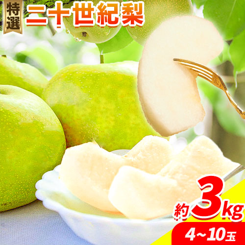 【2026年先行予約】特選 二十世紀梨 約3kg (4～10玉) 3L～5Lサイズ《2026年8月下旬-10月上旬頃出荷予定》 鳥取県 八頭町 梨 なし ナシ 果物 フルーツ 先行予約 ふるさと納税 送料無料 甘い 果実 果汁 デザート