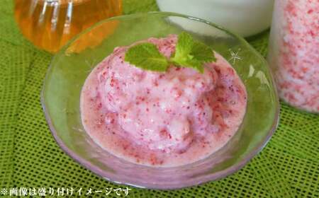 いちご 冷凍 1㎏ (500g×2パック)  完熟 冷凍 いちご 「さら苺」 1kg（500g×2パック） 園村苺園 熊本県産冷凍いちご 宇城市産冷凍いちご 九州産冷凍いちご 