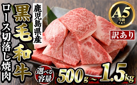 
                  K-321 ＜訳あり・不揃い＞ 選べる容量！鹿児島県産黒毛和牛＜A5等級＞ロース切り落とし焼肉(計500g～1.5kg)【ビーフ倉薗】霧島市 牛肉 ヤキニク 焼き肉 国産 鹿児島県産 黒毛和牛 肉 精肉 牛
                
