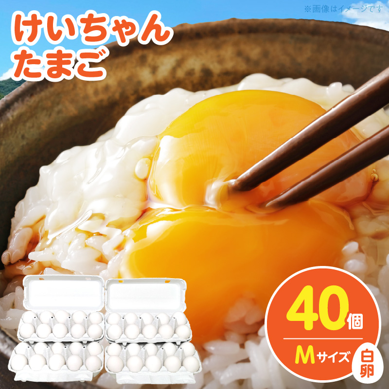 けいちゃんたまご　白　Mサイズ　40個 C00407