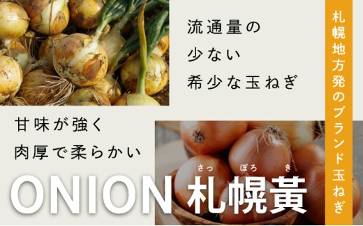 【先行予約】幻の玉ねぎ！札幌黄（さっぽろき）10kg たまねぎ 玉葱 タマネギ 国産 まとめ買い 業務用 贈り物 野菜 美味しい 送料無料 新鮮野菜 健康 和食 レストラン 国産野菜 採れたて 農家直