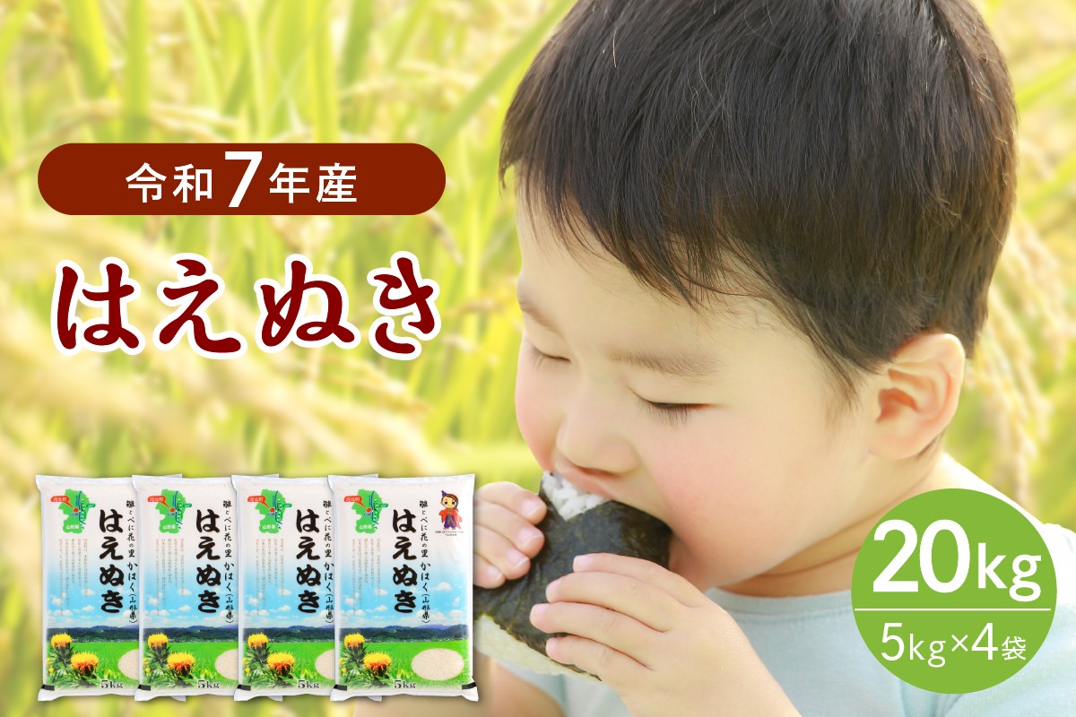 
                  【令和7年産米】※選べる配送時期※ はえぬき20kg（5kg×4袋）山形県産 【JAさがえ西村山】
                