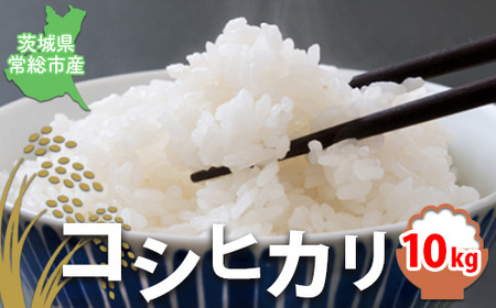【令和7年産】【無洗米】コシヒカリ10kg 茨城県常総市産 精米｜米 お米 白米 ご飯 コメ こめ こしひかり