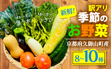 【訳あり】 季節の野菜 詰め合わせセット 6～10種 野菜