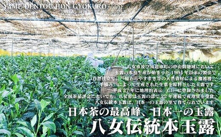 【茶器・玉露セット】幻の星野焼茶皿で日本一の玉露八女伝統本玉露を愉しむ　横町町家交流館　源太窯　072-159