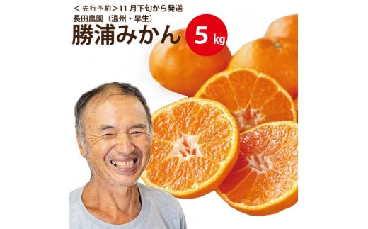 長田農園 早生みかん 秀品 S-Lサイズ 5kg