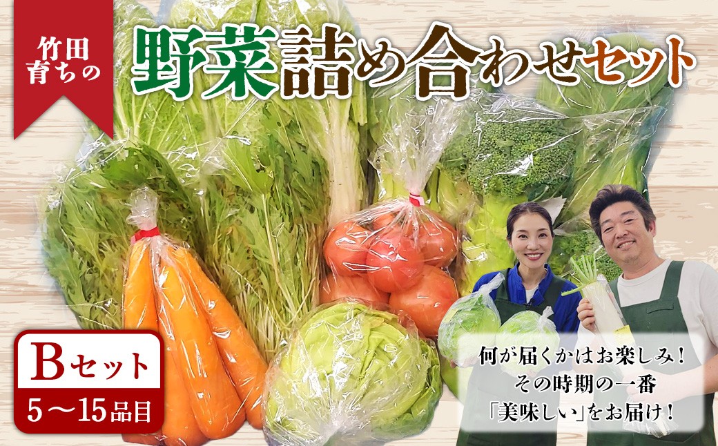
            その時期の一番美味しいをお届け！ 竹田育ちの 「野菜詰め合わせセット」 B
          