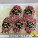 【ふるさと納税】白金豚と前沢牛の生ハンバーグセット 豚肉 ブランド肉