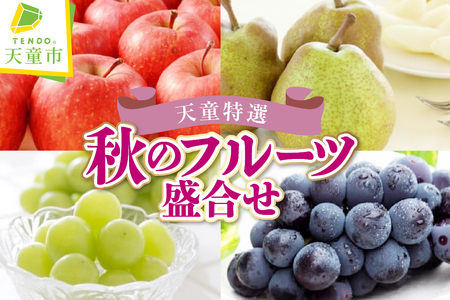 天童 特選 秋 の フルーツ 盛合せ 果物 山形 08-08-044