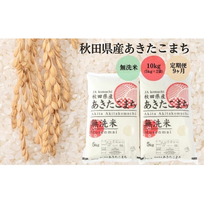 定期便9ヶ月 無洗米 秋田県産 あきたこまち 10kg (5kg×2袋)×9回 計90kg 令和5年産