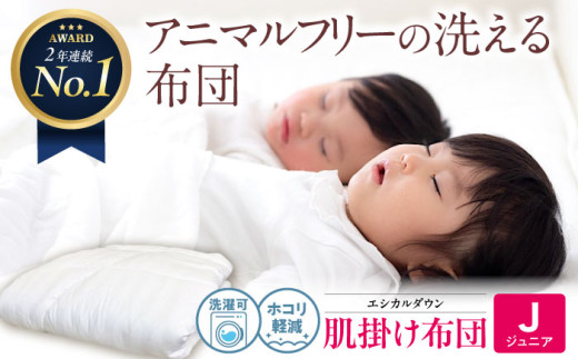 洗える 人工羽毛布団 肌掛け布団 〈ジュニア〉人工羽毛 エントリーモデル 広島県福山市/イシケン株式会社 布団 掛け布団 掛けふとん 日本製 掛布団 薄手 軽い 春 夏 寝具 アレルギー対策 [BAAK031]
