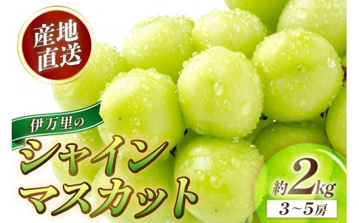 
                  伊万里のシャインマスカット 約2kg（3～5房） 178-B984
                