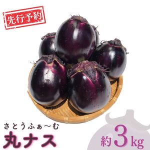 丸なす 約3kg 令和8年産 三条市 茄子 ナス