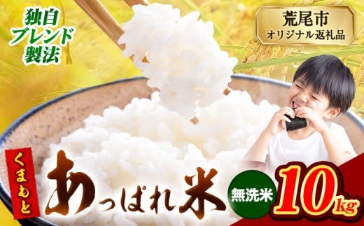 熊本県産 くまもとあっぱれ米 ブレンド米 10kg 熊本県産 ふるさと納税 無洗米 精米 米 こめ ふるさとのうぜい コメ お米 おこめ《12月中旬-2月末頃出荷》