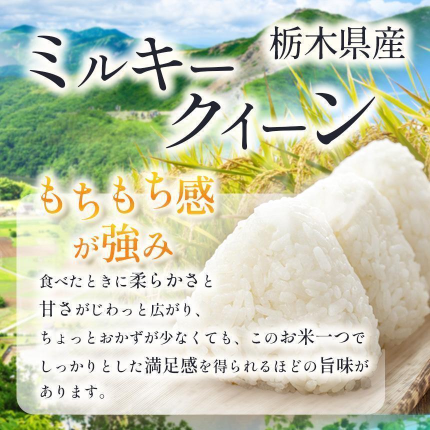 【定期便3回】栃木県産 ミルキークイーン 白米 10kg 2026年 先行予約 | 栃木県 矢板市