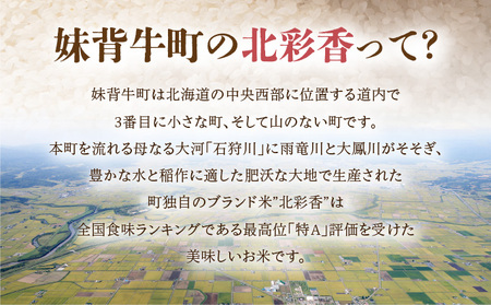 令和6年産 妹背牛産【北彩香（ゆめぴりか）】玄米20kg (一括) (1月発送)