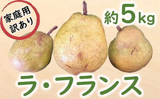 
                  【令和8年産先行予約】 〈訳あり品 家庭用〉 ラ・フランス 約5kg (12～24玉) 《令和8年11月中旬～発送》 『カネタ髙橋青果』 ラフランス 果物 フルーツ デザート 山形県 南陽市 [2674]
                